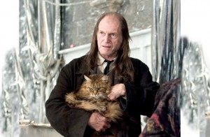 filch_-_mrs__norris-1-.jpg