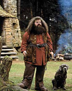 hagrid_l.jpg